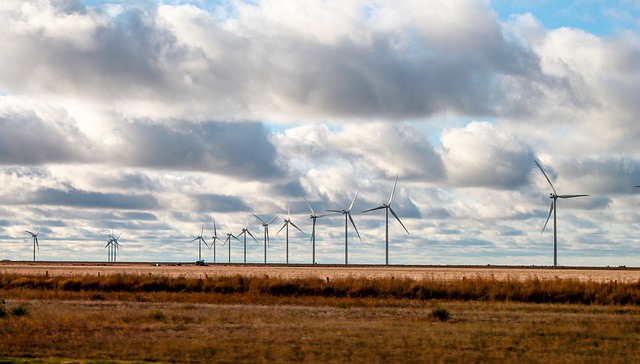 Texas Renewable Energy